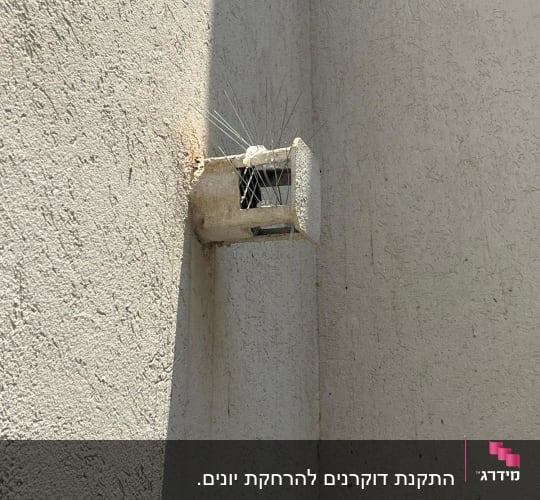 קופסה עם דוקרנים למניעת קינון יונים על קיר